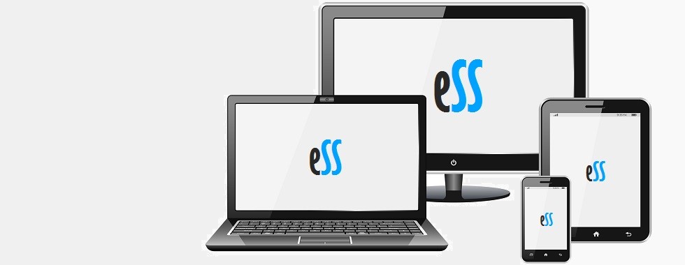 Responsive Web Designs by Easy Soft Sys